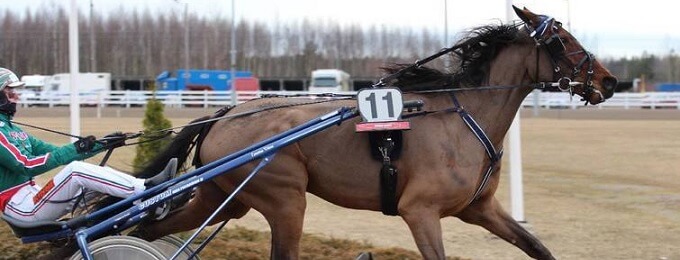 Pesiskimpan riemu repesi – Carleman ravasi voittoon!