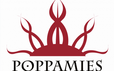 Asennetta baseballiin – Poppamies yhteistyökumppaniksi